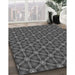 Machine Washable Transitional Gray Rug in a Family Room, wshpat2766gry