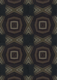 Machine Washable Transitional Black Rug, wshpat276