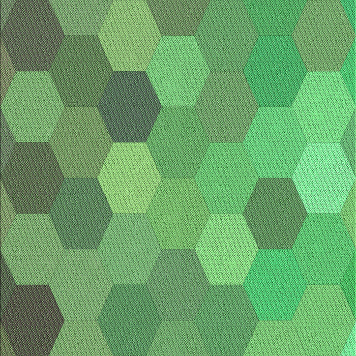 Machine Washable Transitional Green Rug, wshpat2770grn