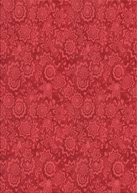 Machine Washable Transitional Red Rug, wshpat2774rd