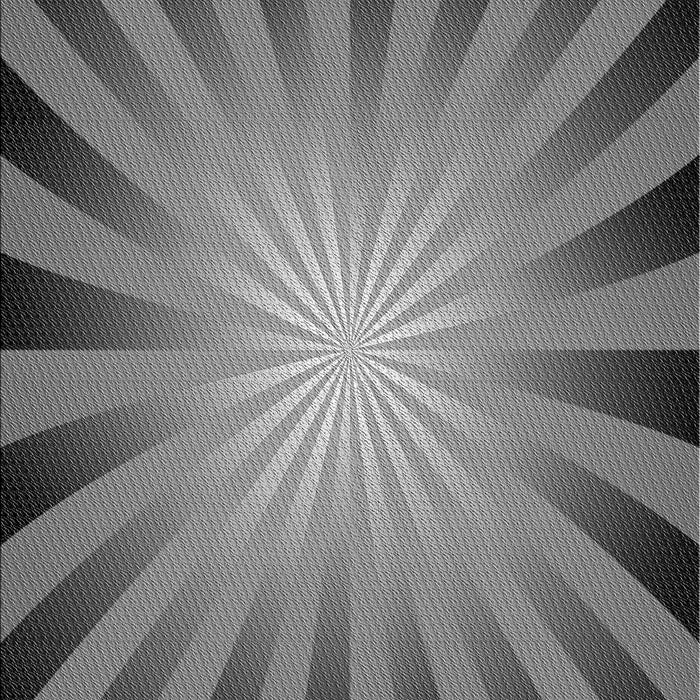 Machine Washable Transitional Gray Rug, wshpat2776gry