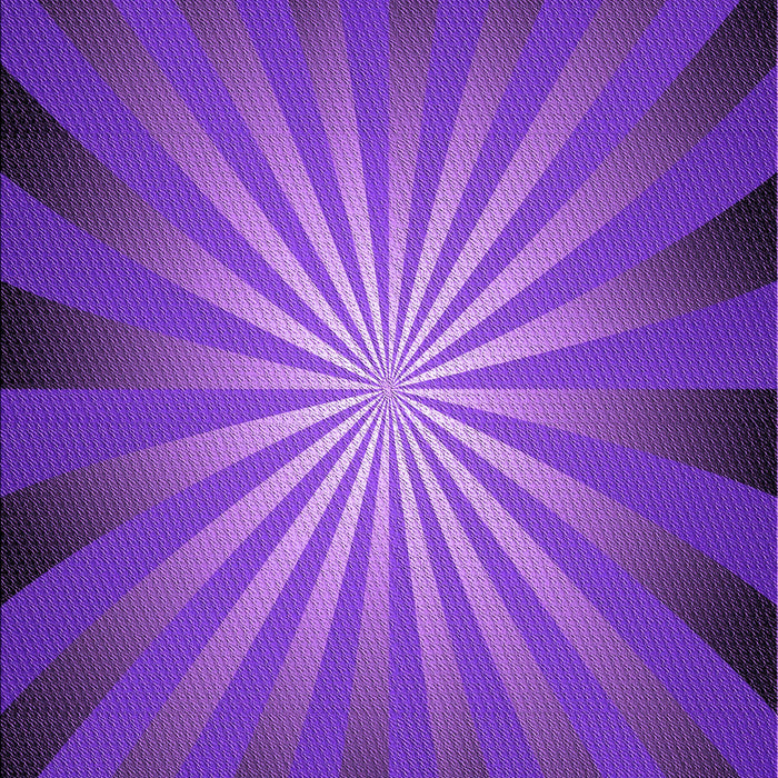 Patterned Jasmine Purple Rug, pat2776pur