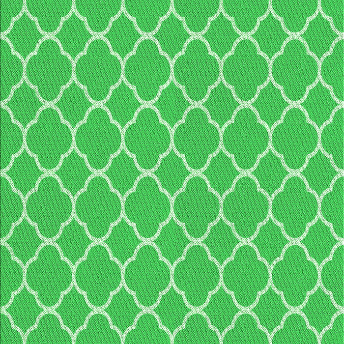 Machine Washable Transitional Neon Green Rug, wshpat2781grn