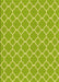 Machine Washable Transitional Pistachio Green Rug, wshpat2781yw