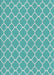 Machine Washable Transitional Light Sea Green Rug, wshpat2781