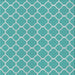 Patterned Light Sea Green Novelty Rug, pat2781