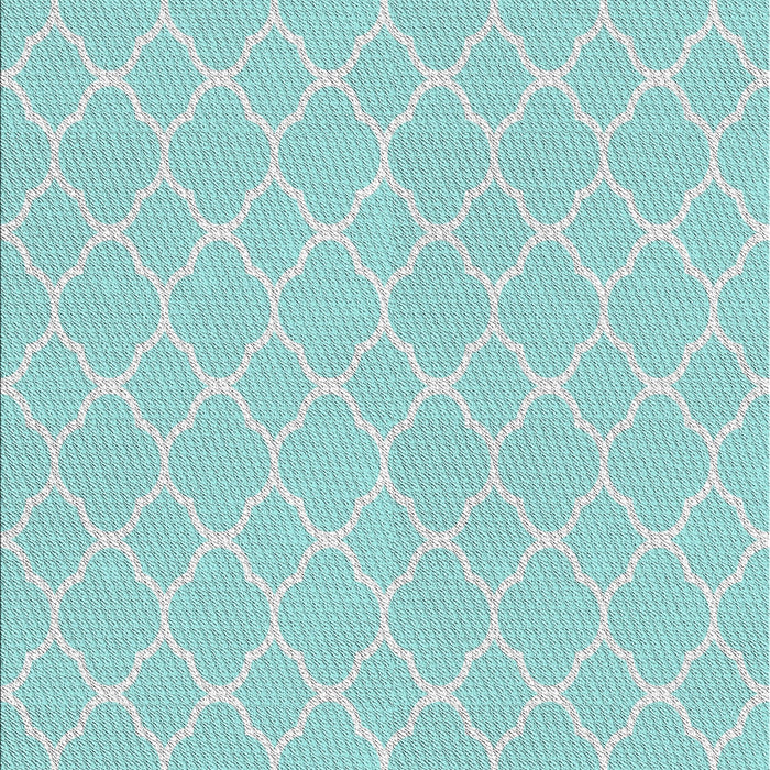 Patterned Seafoam Green Novelty Rug, pat2782