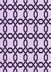 Machine Washable Transitional Purple Rug, wshpat2784pur