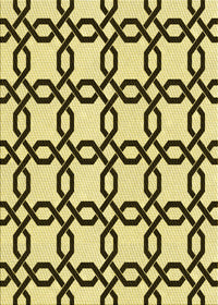 Machine Washable Transitional Mustard Yellow Rug, wshpat2784yw