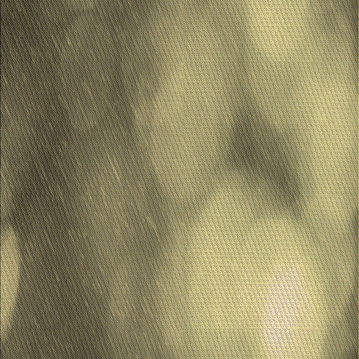 Patterned Metallic Gold Rug, pat2785brn