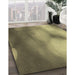 Machine Washable Transitional Metallic Gold Rug in a Family Room, wshpat2785brn