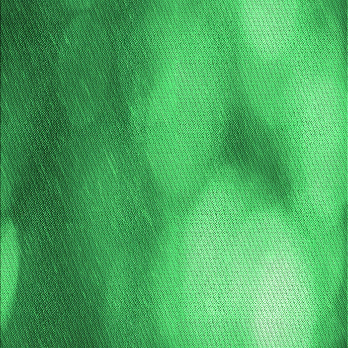 Machine Washable Transitional Neon Green Rug, wshpat2785grn