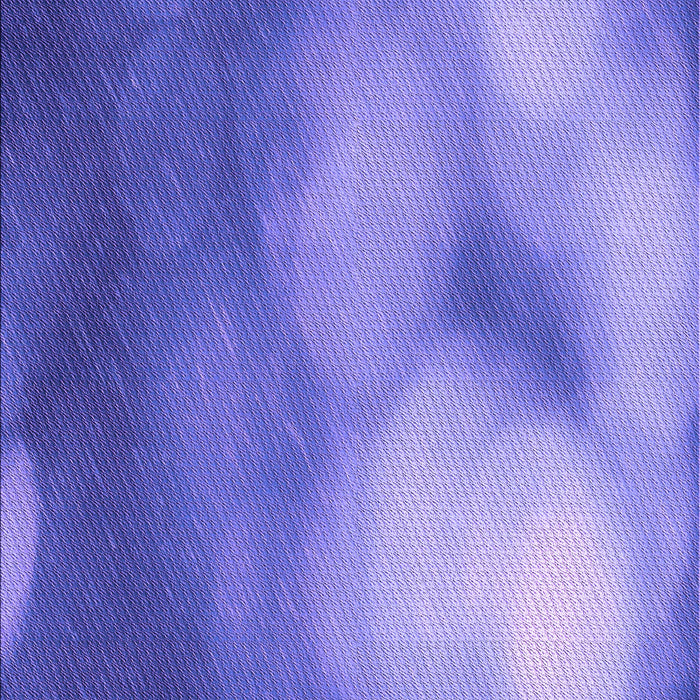 Machine Washable Transitional Purple Mimosa Purple Rug, wshpat2785pur