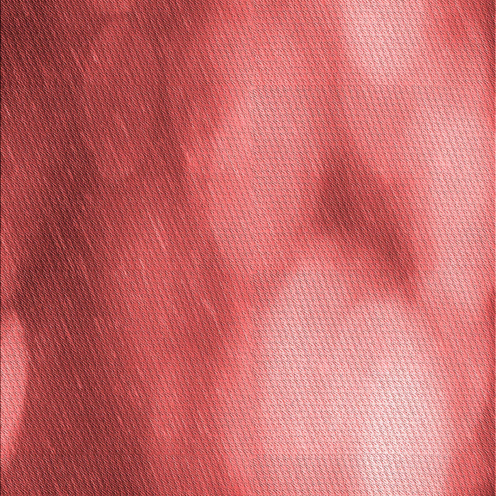 Patterned Red Rug, pat2785rd