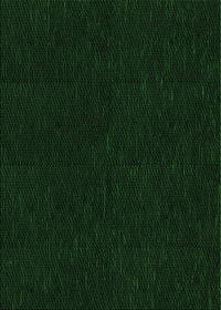 Machine Washable Transitional Deep Emerald Green Rug, wshpat2786grn