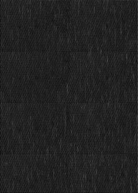 Machine Washable Transitional Light Black Rug, wshpat2786