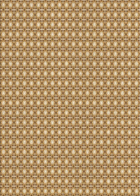 Machine Washable Transitional Dark Bisque Brown Rug, wshpat2798brn