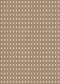 Machine Washable Transitional Sienna Brown Rug, wshpat2798