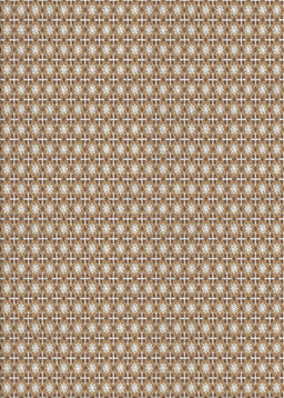Machine Washable Transitional Sienna Brown Rug, wshpat2798