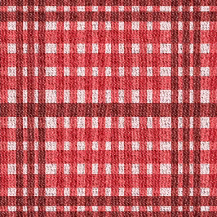 Machine Washable Transitional Red Rug, wshpat2802rd