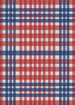 Machine Washable Transitional Dark Gray Rug, wshpat2802