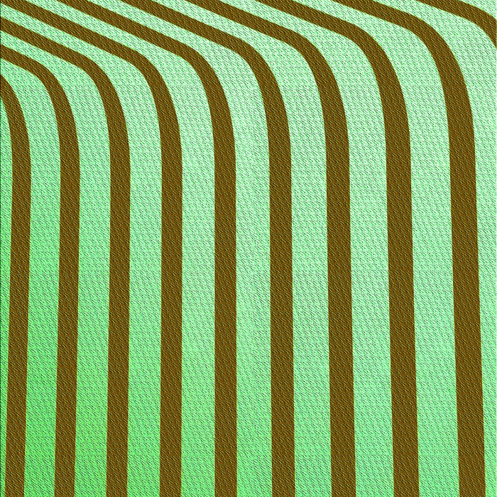 Machine Washable Transitional Oak Brown Rug, wshpat2804grn