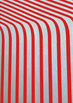 Machine Washable Transitional Light Gray Rug, wshpat2804