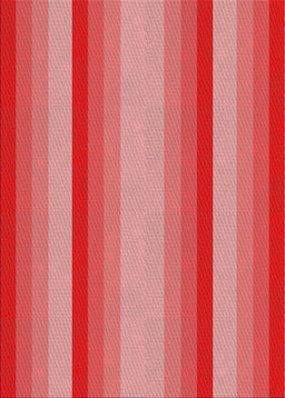 Machine Washable Transitional Red Rug, wshpat2806