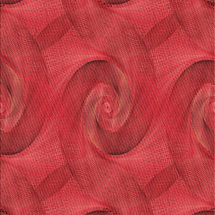 Machine Washable Transitional Red Rug, wshpat2807rd