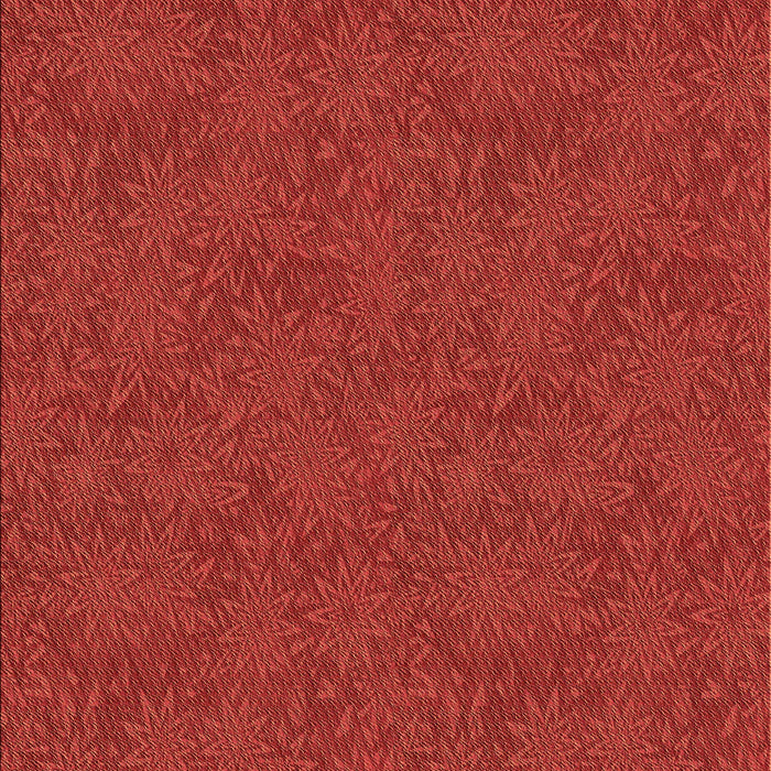 Machine Washable Transitional Red Rug, wshpat2812brn