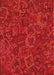 Machine Washable Transitional Fire Red Rug, wshpat2817