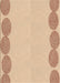 Patterned Khaki Gold Rug, pat2818brn