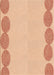 Patterned Pastel Orange Rug, pat2818org