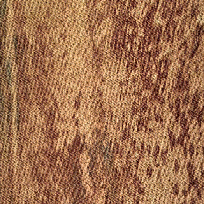 Patterned Orange Rug, pat2819brn