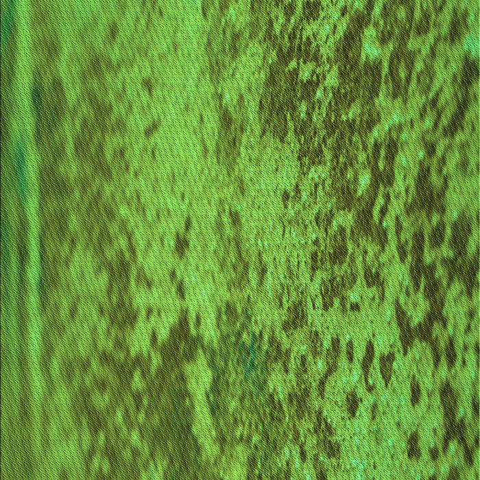 Machine Washable Transitional Green Rug, wshpat2819grn