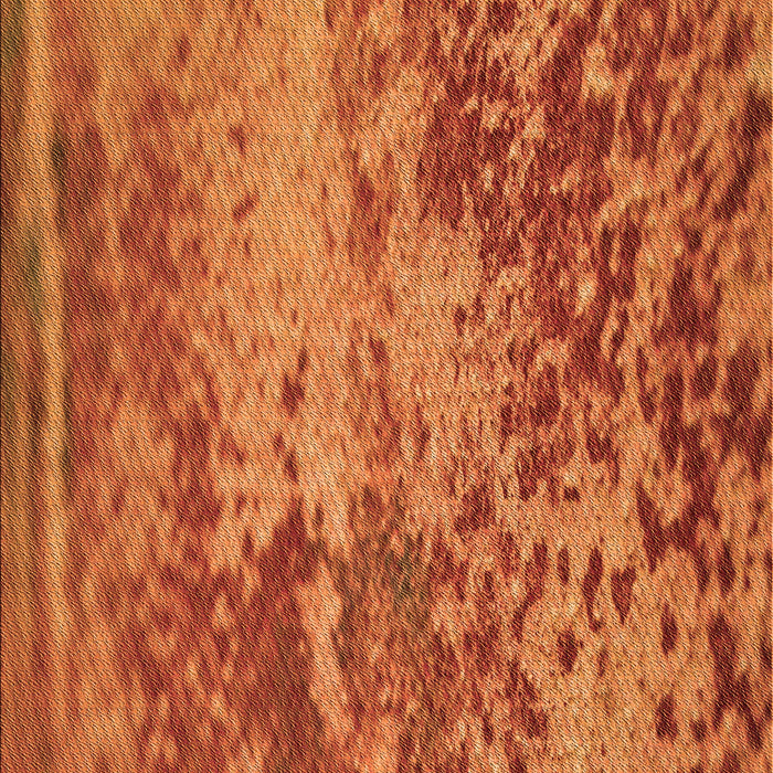 Patterned Neon Orange Rug, pat2819org