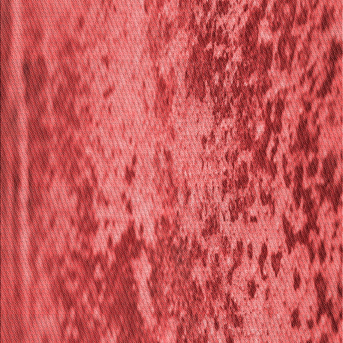 Patterned Red Rug, pat2819rd