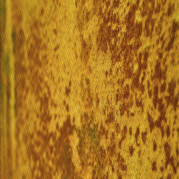 Machine Washable Transitional Mahogany Brown Rug, wshpat2819yw