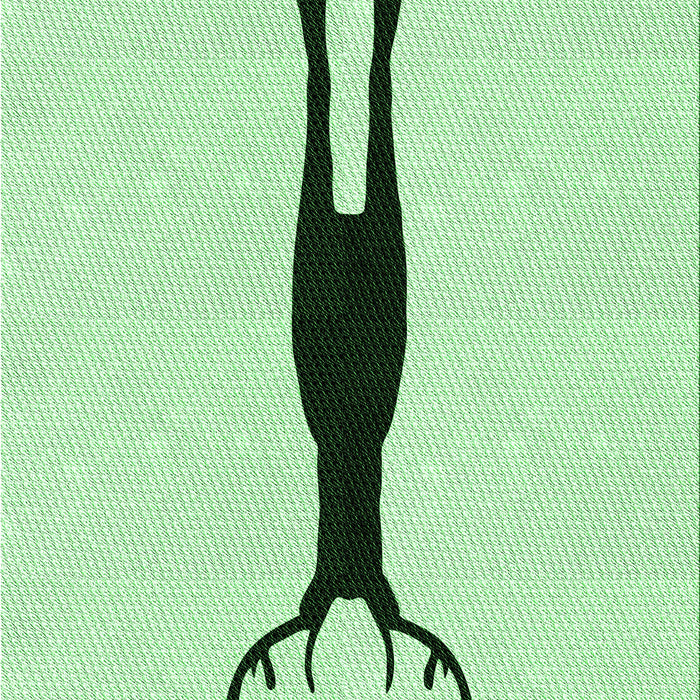 Machine Washable Transitional Mint Green Rug, wshpat2823grn