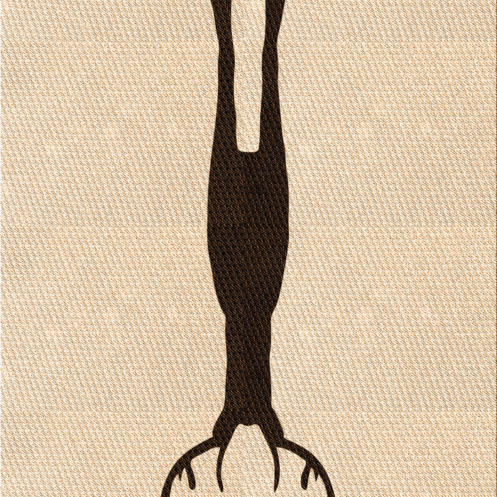 Machine Washable Transitional Peru Brown Rug, wshpat2823org