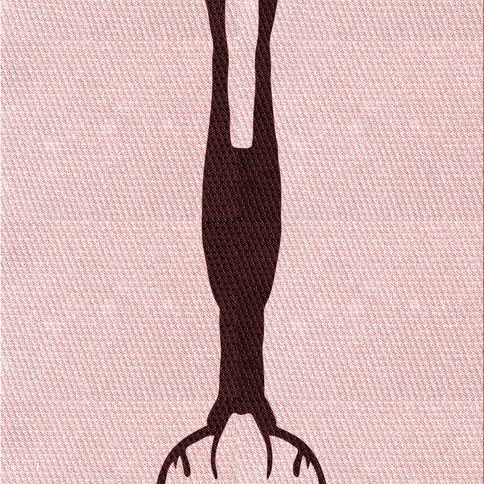 Machine Washable Transitional Pink Rug, wshpat2823rd