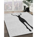 Machine Washable Transitional White Smoke Rug in a Family Room, wshpat2823