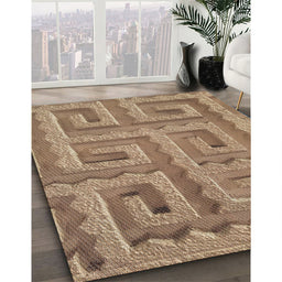 Machine Washable Transitional Saddle Brown Rug in a Family Room, wshpat2824