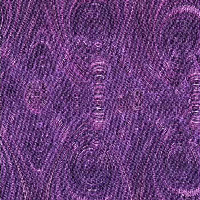 Machine Washable Transitional Purple Rug, wshpat2825pur