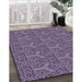 Machine Washable Transitional Dark Purple Rug in a Family Room, wshpat2828pur