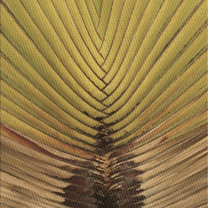 Patterned Saddle Brown Rug, pat283brn