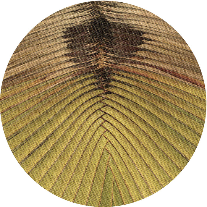 Square Machine Washable Transitional Saddle Brown Rug in a Living Room, wshpat283brn