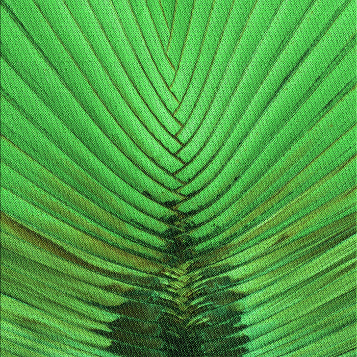 Patterned Green Rug, pat283grn