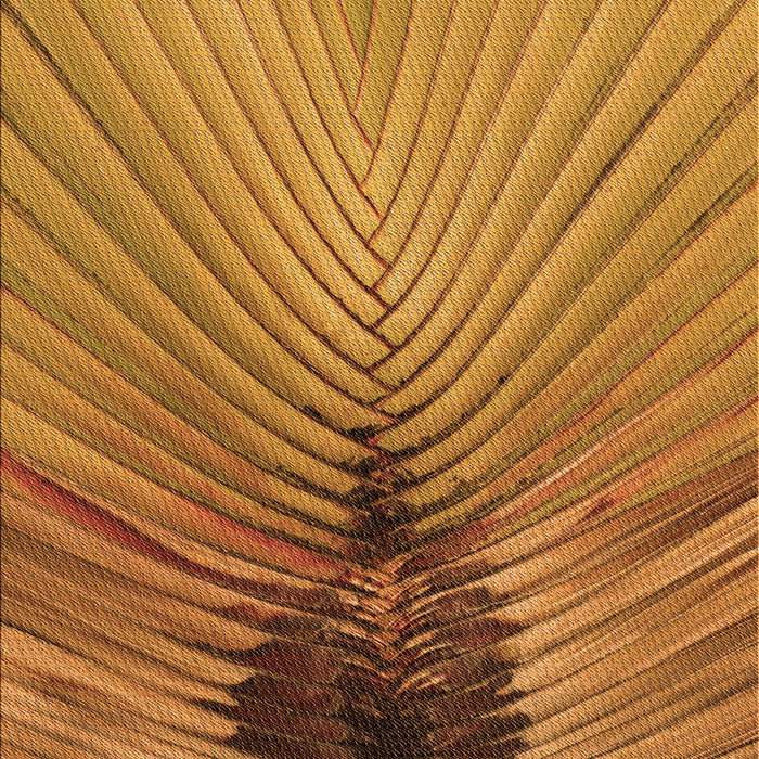 Patterned Mahogany Brown Rug, pat283org