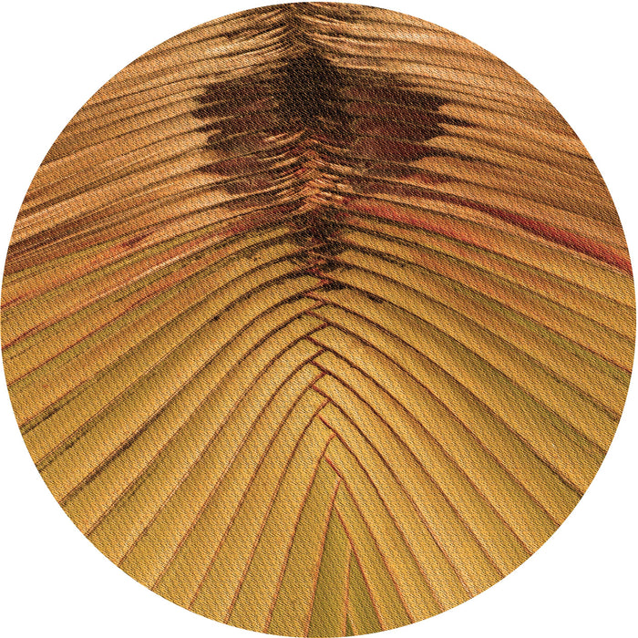 Square Machine Washable Transitional Mahogany Brown Rug in a Living Room, wshpat283org